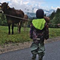 Popis: U&nbsp;Smučarské koči