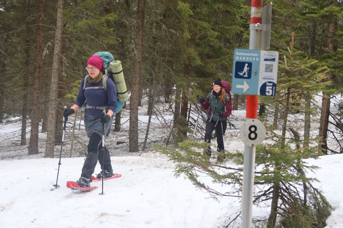 Pod horou Hohenwart; trasy pro sněžnice