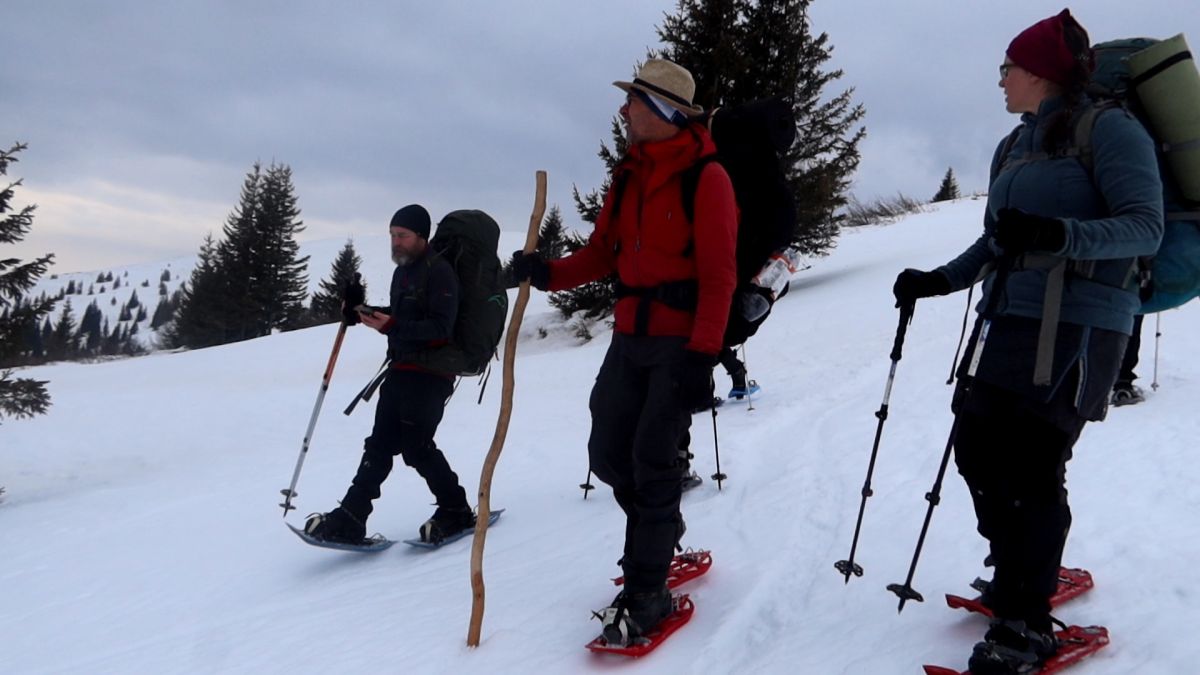 Pod Wolfsberger Hütte