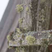 Popis: Wolfsberger Hütte