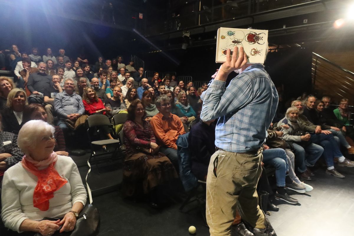 Aukce pro premiéře