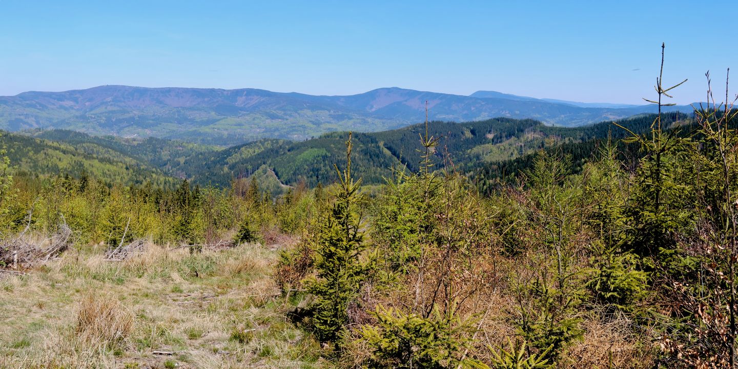 Moravskoslezské Beskydy z vrcholu Tanečnice
