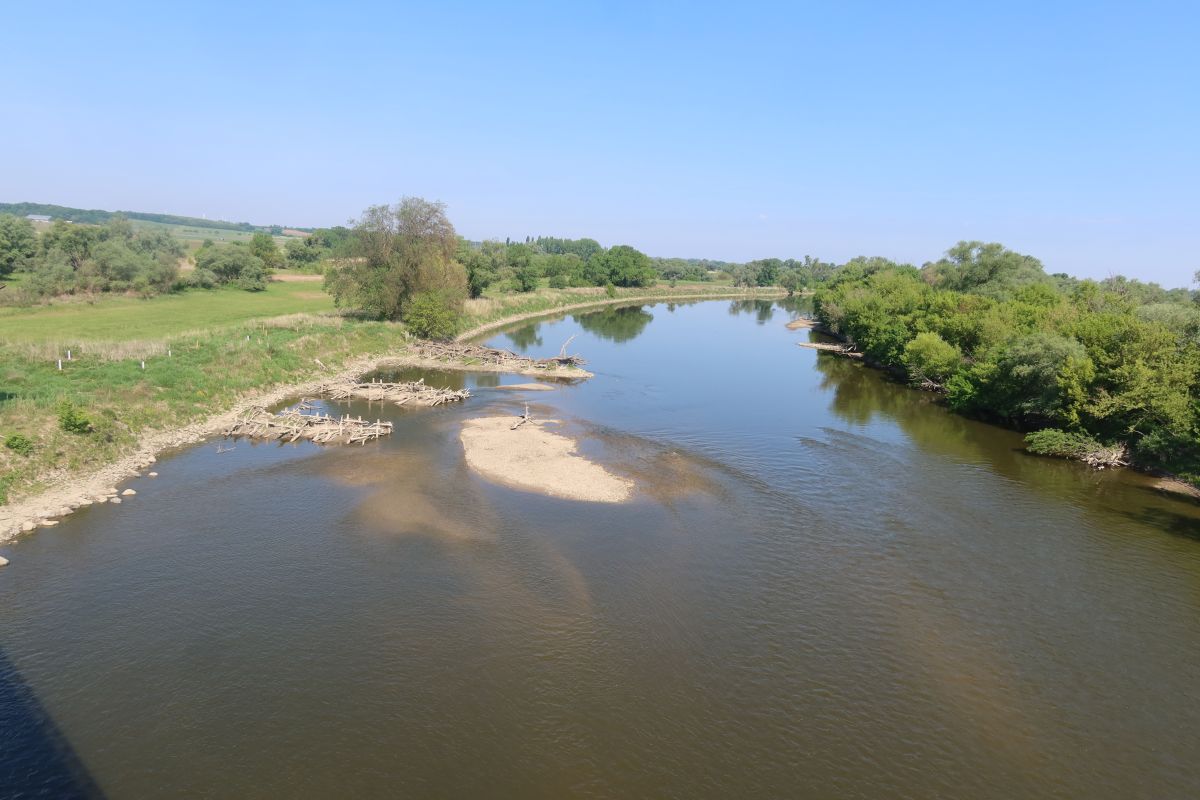 Morava, už jen kousek k soutoku s Dunajem
