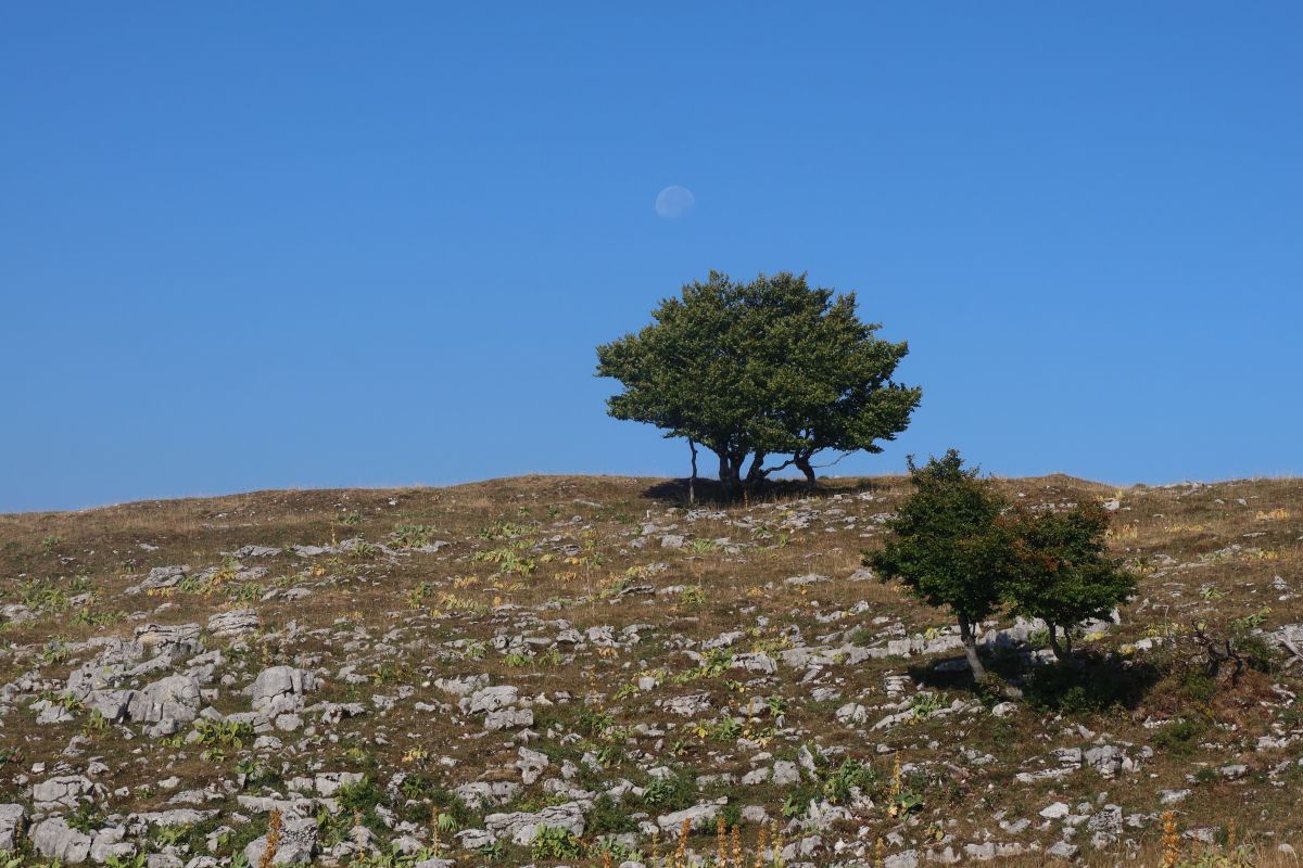 Na hoře Mont d Or