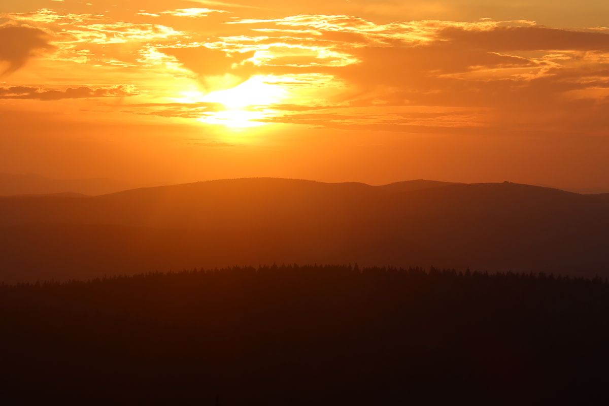 Szrenica